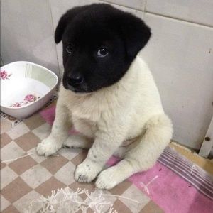 Meet your Posher, Martha